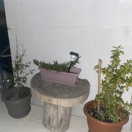 Konukevi Dioni 3*